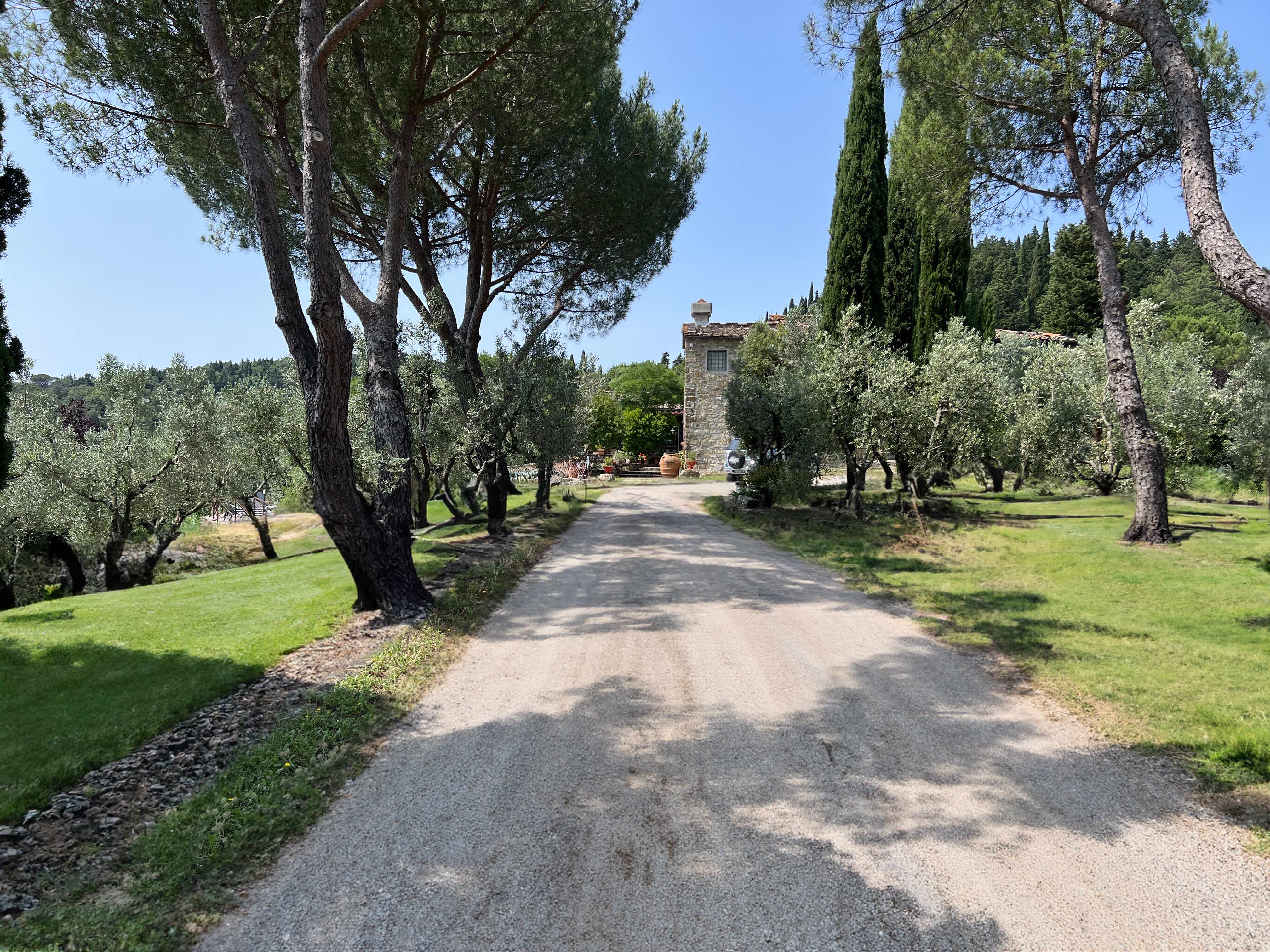 Tree-lined entrance driveway to Villa Peramonda