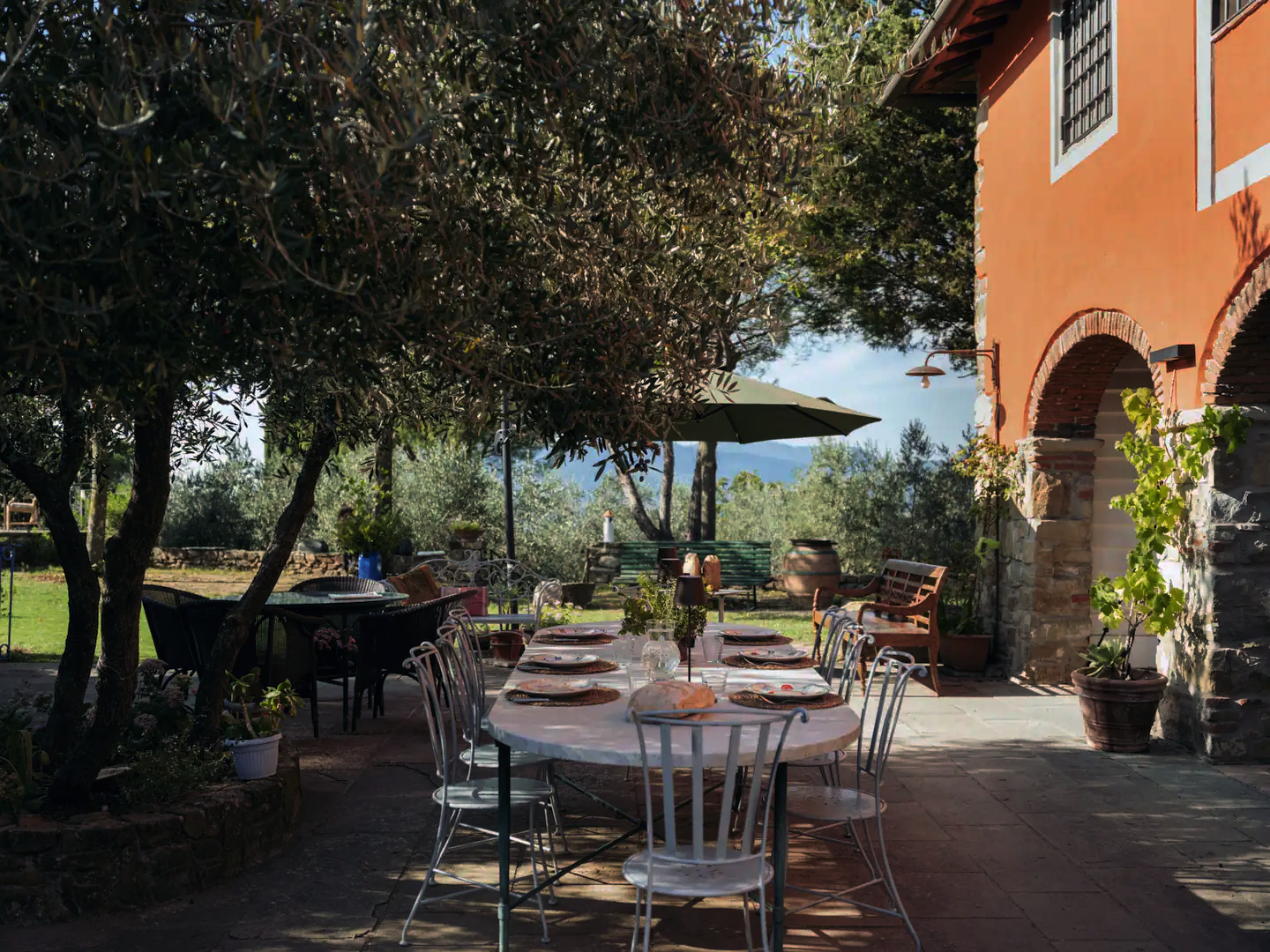 Outdoor dining under ancient olive trees